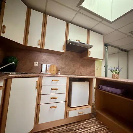 Luxury - Tatari By Rikas Apartman Tallinn